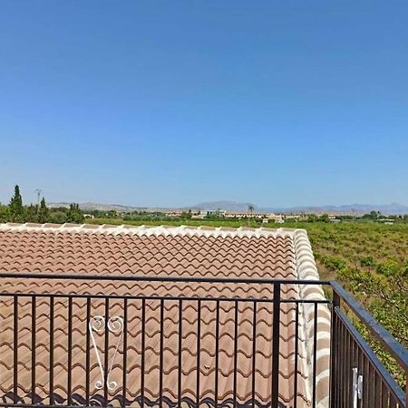 Villa Rustica Privada Con Gran Chalet Y Piscina Elche Eksteriør bilde
