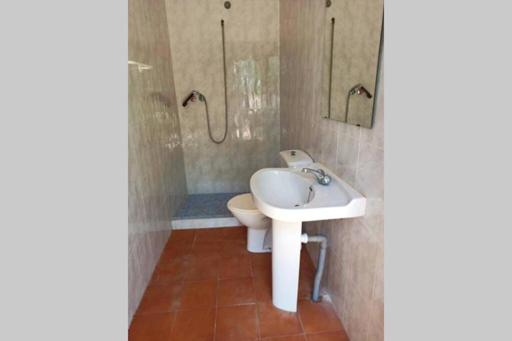 Villa Rustica Privada Con Gran Chalet Y Piscina Elche Eksteriør bilde